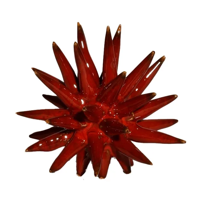 Scultura Riccio Pacri