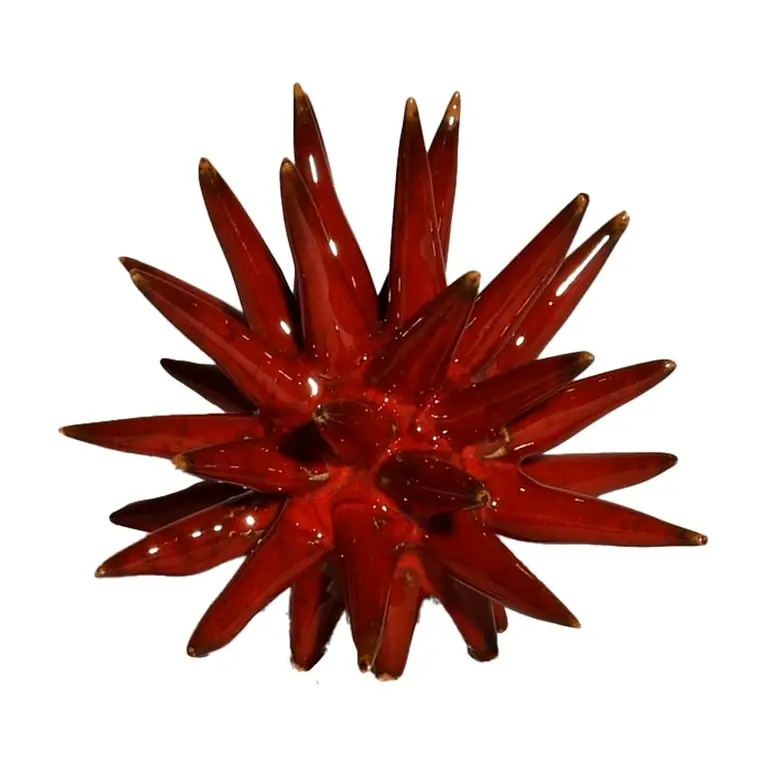Scultura Riccio Pacri