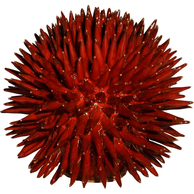 Scultura Riccio Pacri