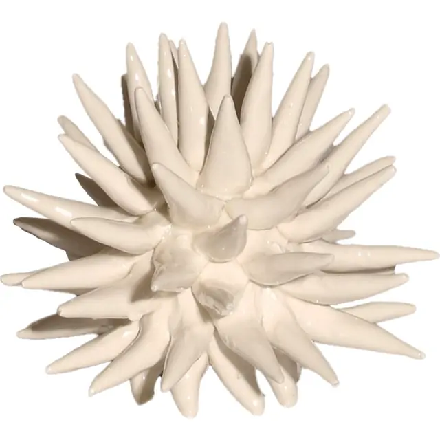 Scultura Riccio Pacri